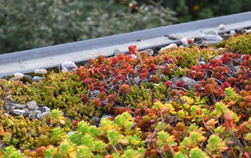 the cost of Bessbrook green roof installation