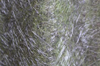 Bessbrook fibreglass roof work